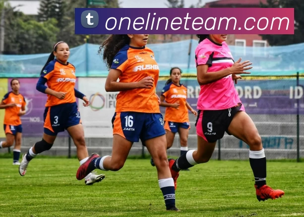 米兰网站登录入口 - 米兰(中国)服务体系